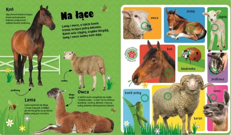 Odgłosy na wsi 60 dźwięków