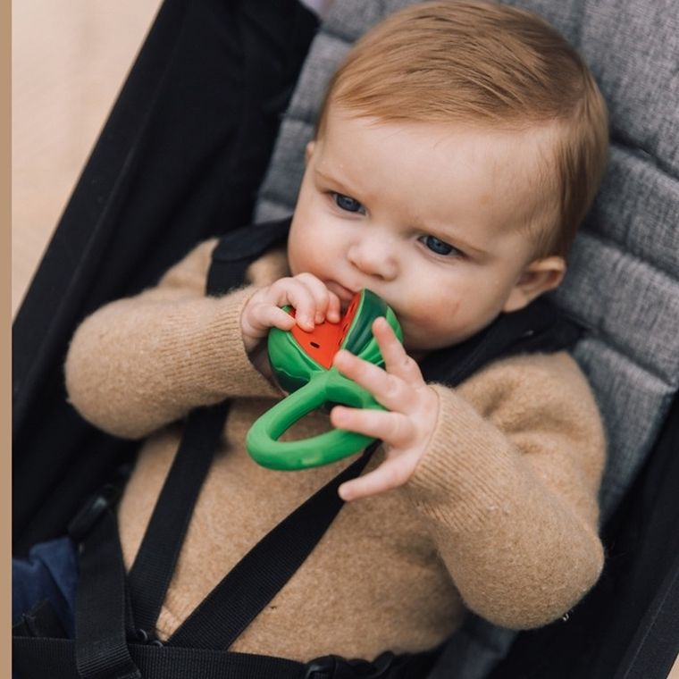 Oli & Carol, gryzak grzechotka, Arbuz