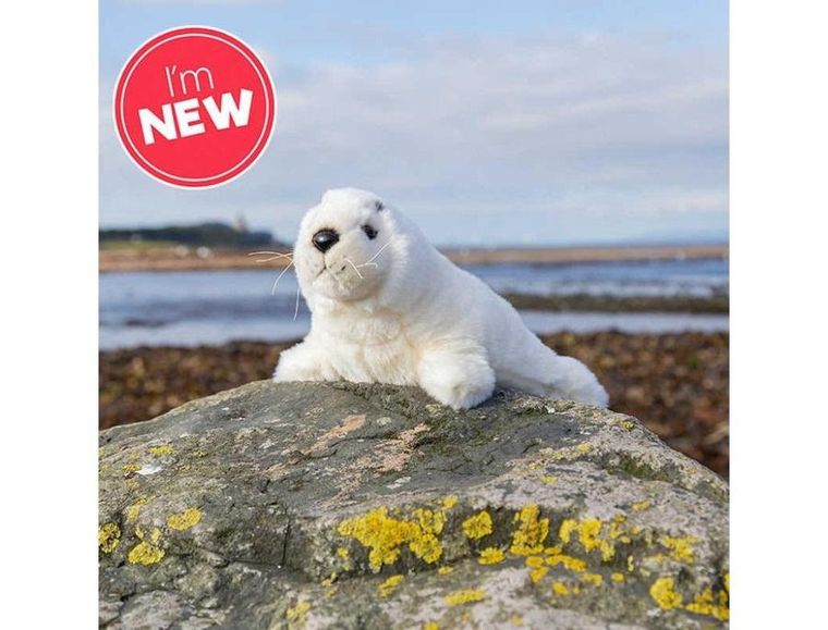 One For Fun, foka, maskotka