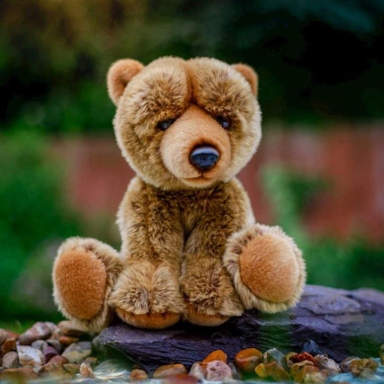 One For Fun, niedźwiedź grizli, maskotka, 26 cm