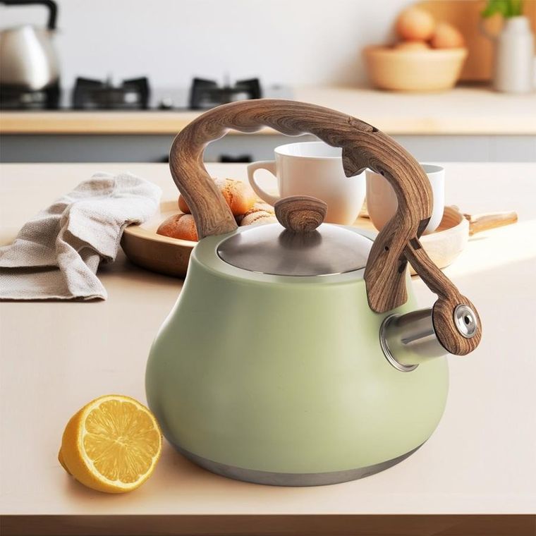 Orion, Greenish, czajnik z gwizdkiem, stalowy, 3l