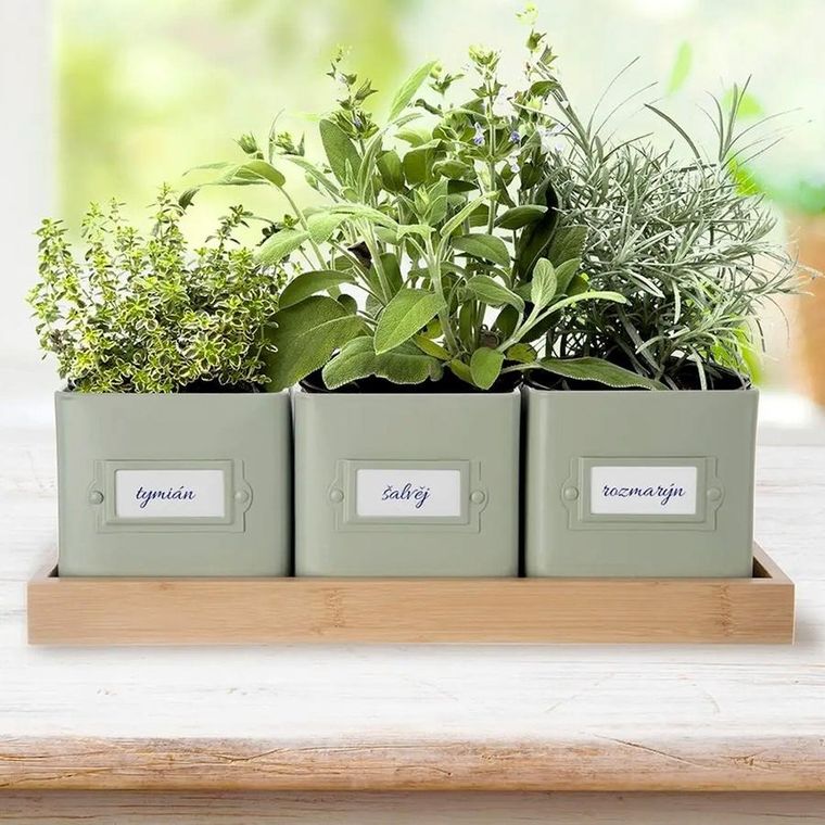 Orion, Greenish, osłonka na doniczkę zioła, na podstawce, 4 el.