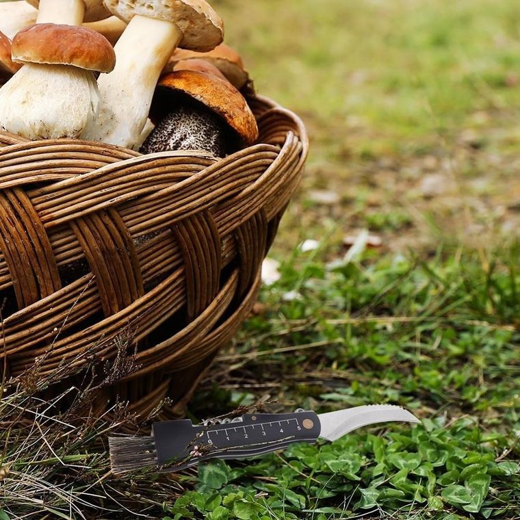 Orion, nożyk do grzybów, stalowy