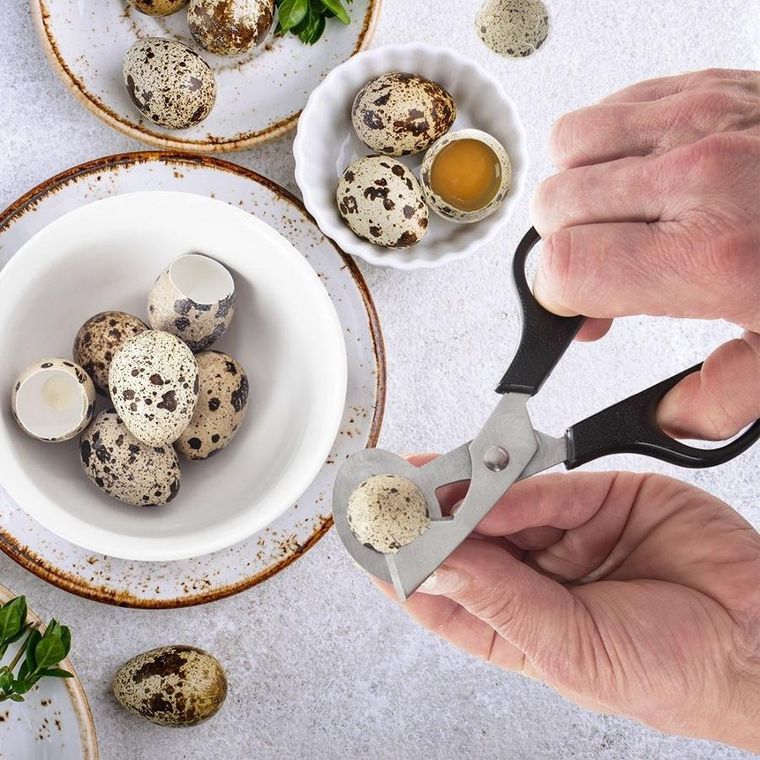 Orion, obcinacz do jajek, stalowy, 14.5 cm