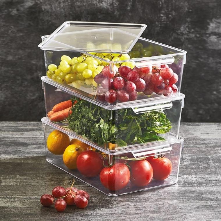 Orion, organizer do lodówki z pokrywką, 32.5-20-10.5 cm