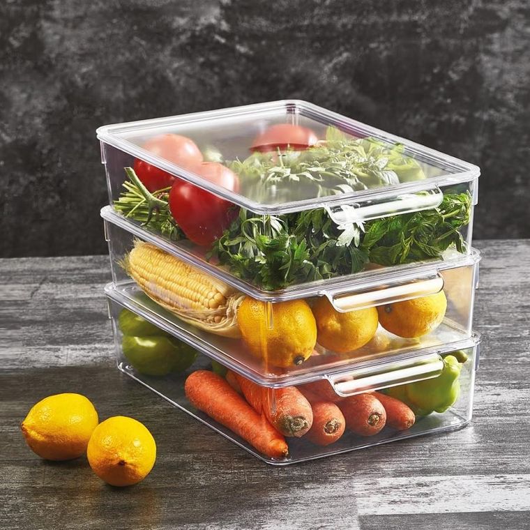 Orion, organizer do lodówki z pokrywką, 32.5-20-7.5 cm