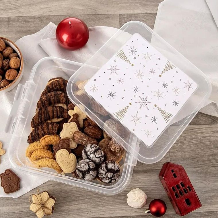 Orion, Płatek, pojemnik na żywność z pokrywką, 4,5l