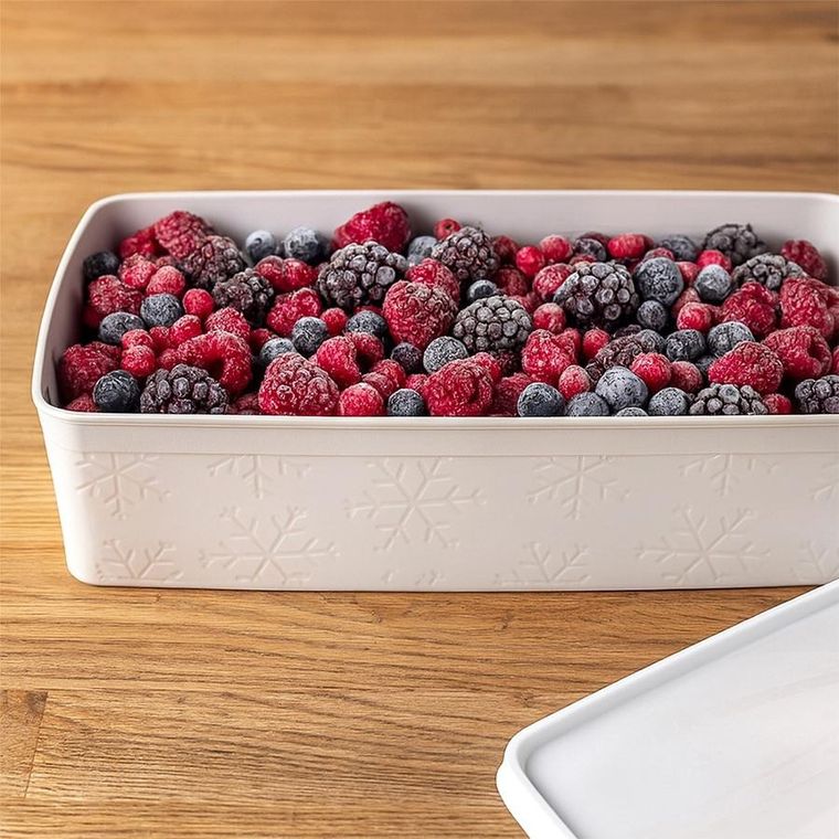 Orion, pojemnik na żywność z pokrywką, beżowy, 2 l