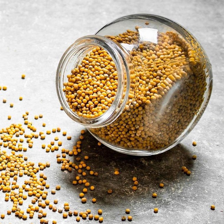 Orion, pojemnik szklany z pokrywką, 3l