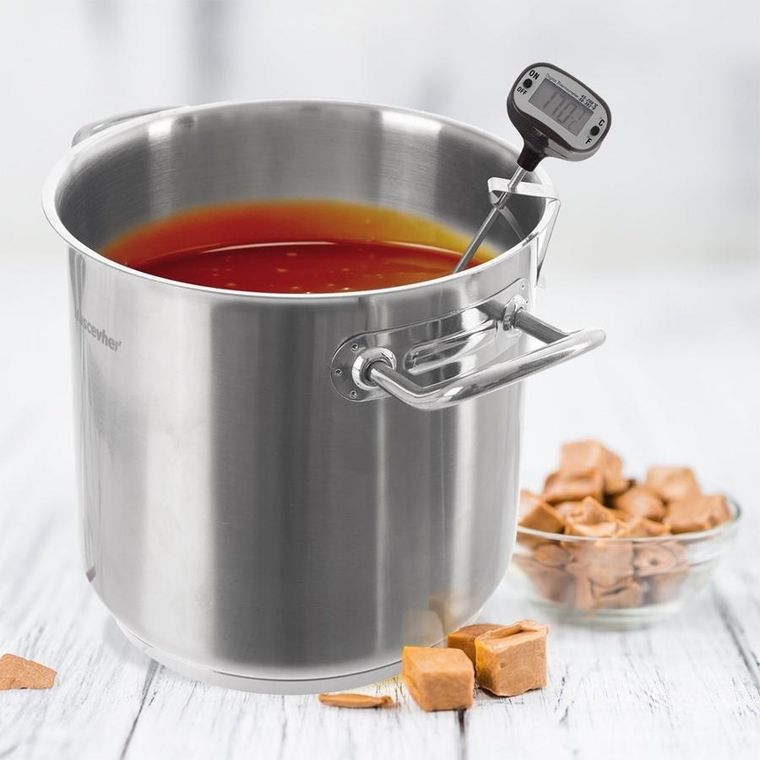 Orion, termometr do mięsa elektroniczny z sondą wbijany, 17 cm