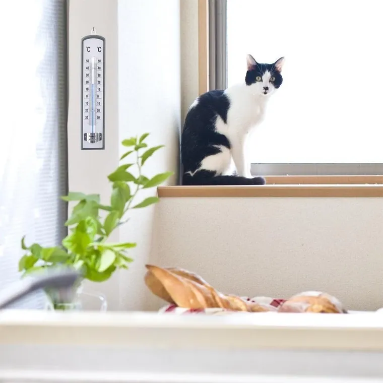 Orion, termometr uniwersalny, drewniany, 21 cm