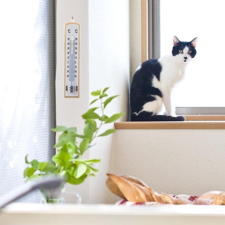 Orion, termometr uniwersalny, drewniany, 21 cm