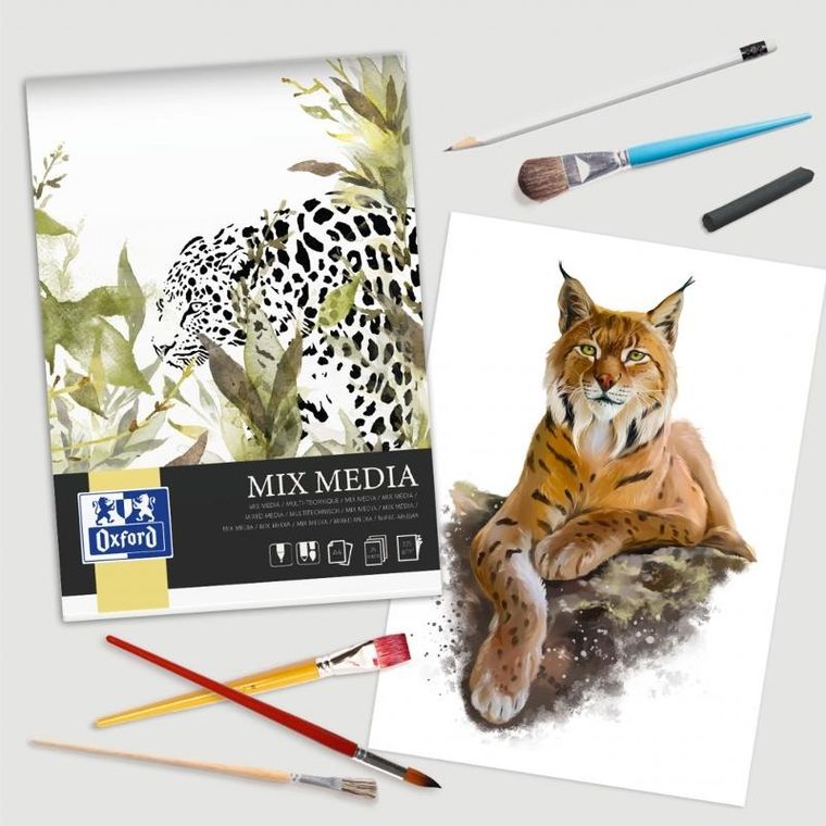 Oxford, blok artystyczny A4, Media, 25 kartek