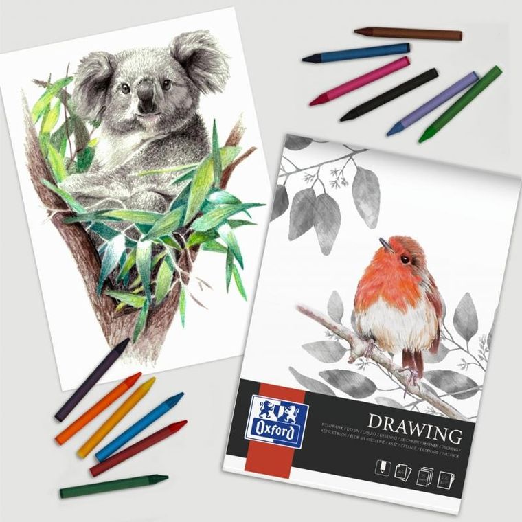 Oxford, blok artystyczny A4, rysunkowy, 40 kartek