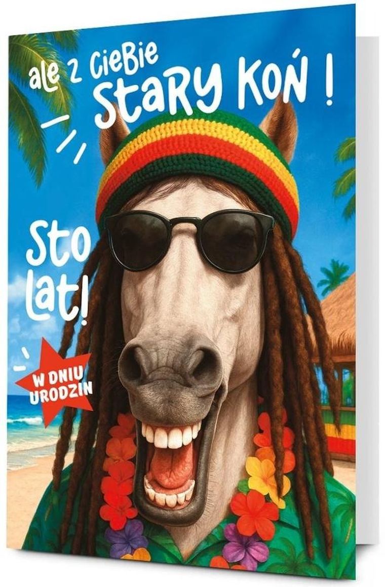 Pan Dragon, karnet mega, Urodziny