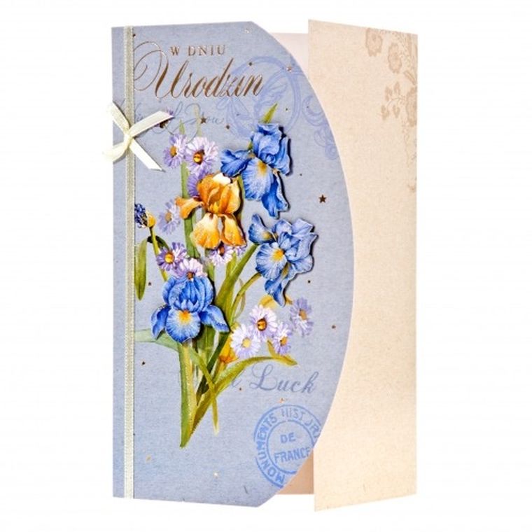 Pan Dragon, karnet okazyjny B6 z kopertą, zdobiony, Hm-200