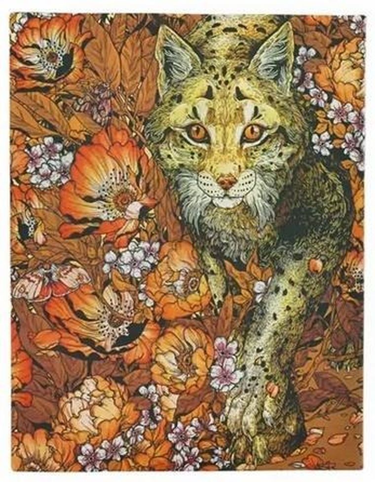 Paperblanks, Lynx Rising, notatnik, linia, mini