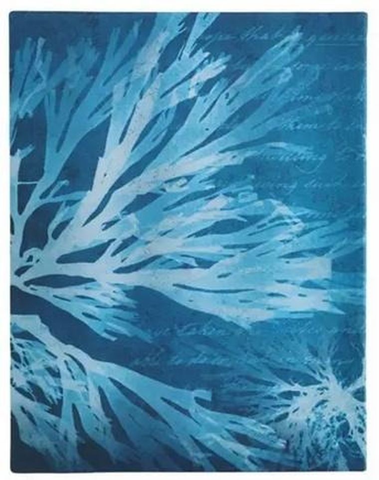 Paperblanks, Sea Flowers, notatnik, linia, midi