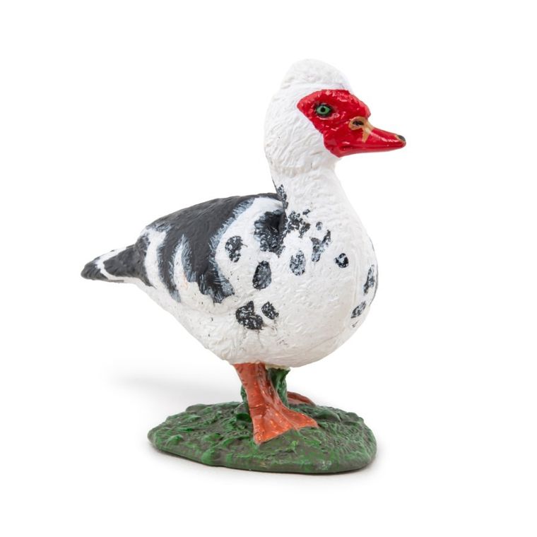 Papo, Kaczka Piżmówka, figurka