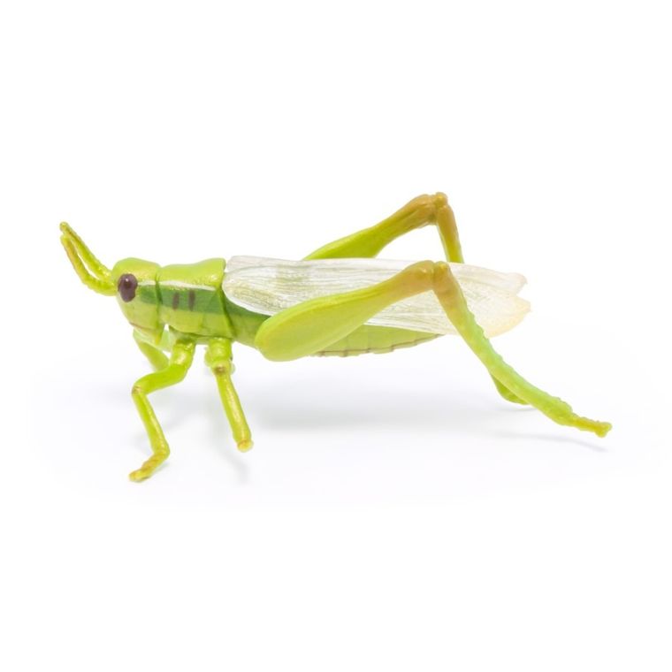 Papo, Konik polny, figurka