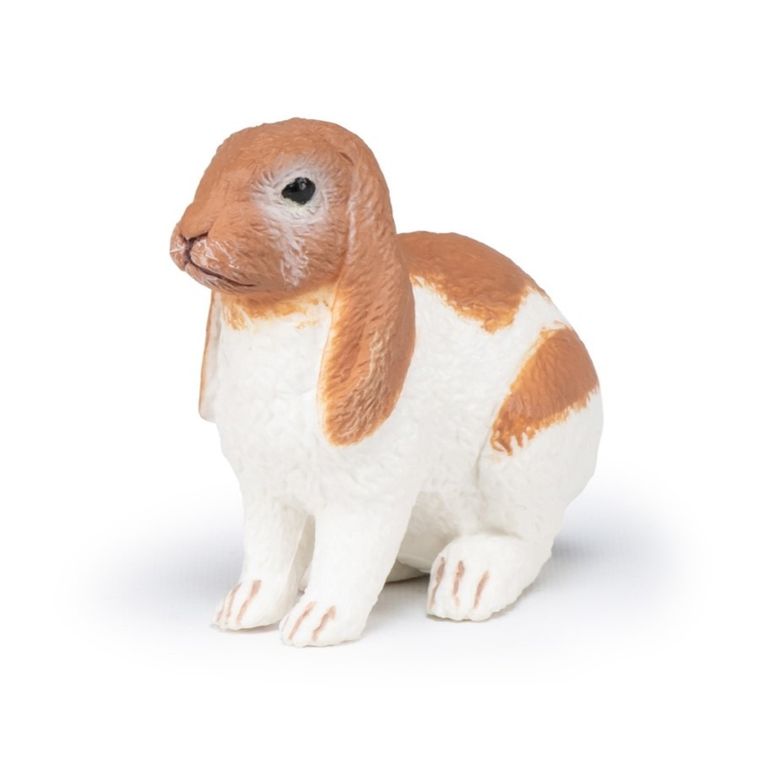 Papo, Królik Holland Lop, figurka