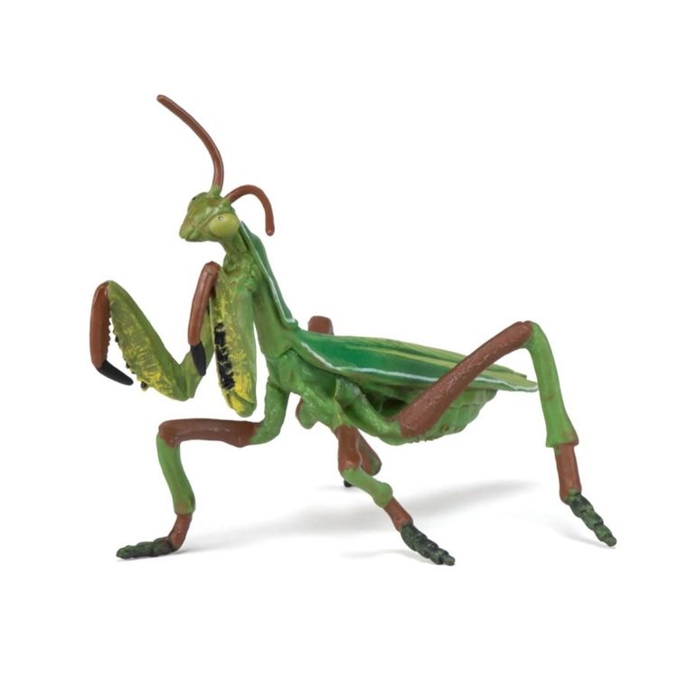 Papo, Modliszka, figurka
