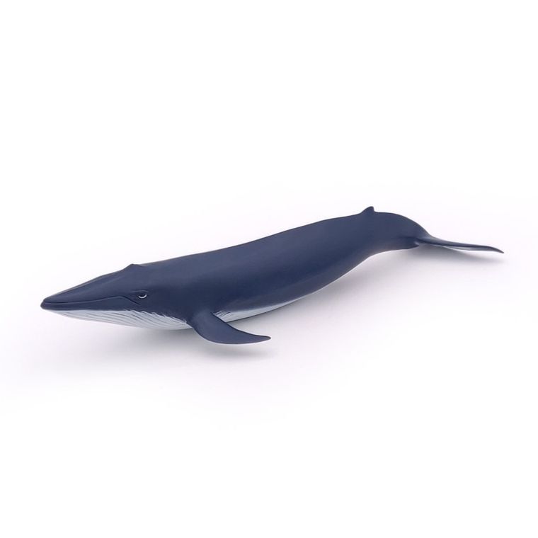 Papo, Płetwal błękitny młody, figurka