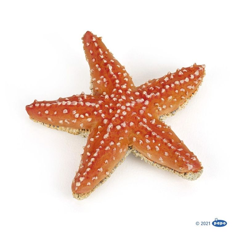 Papo, Rozgwiazda, figurka