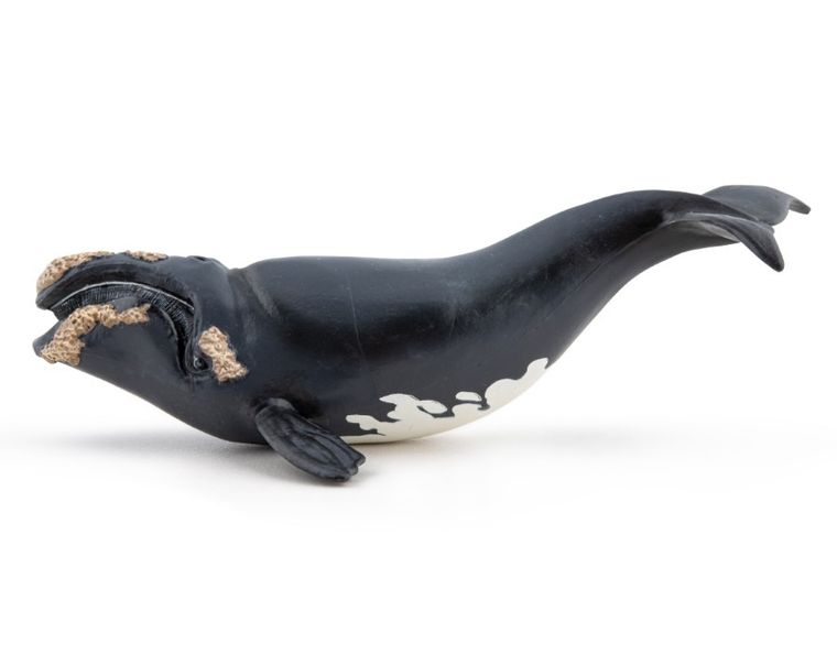 Papo, Waleń, figurka