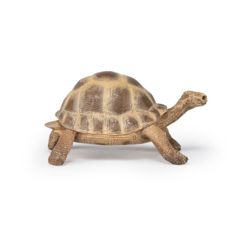 Papo, Żółw Hermana, figurka