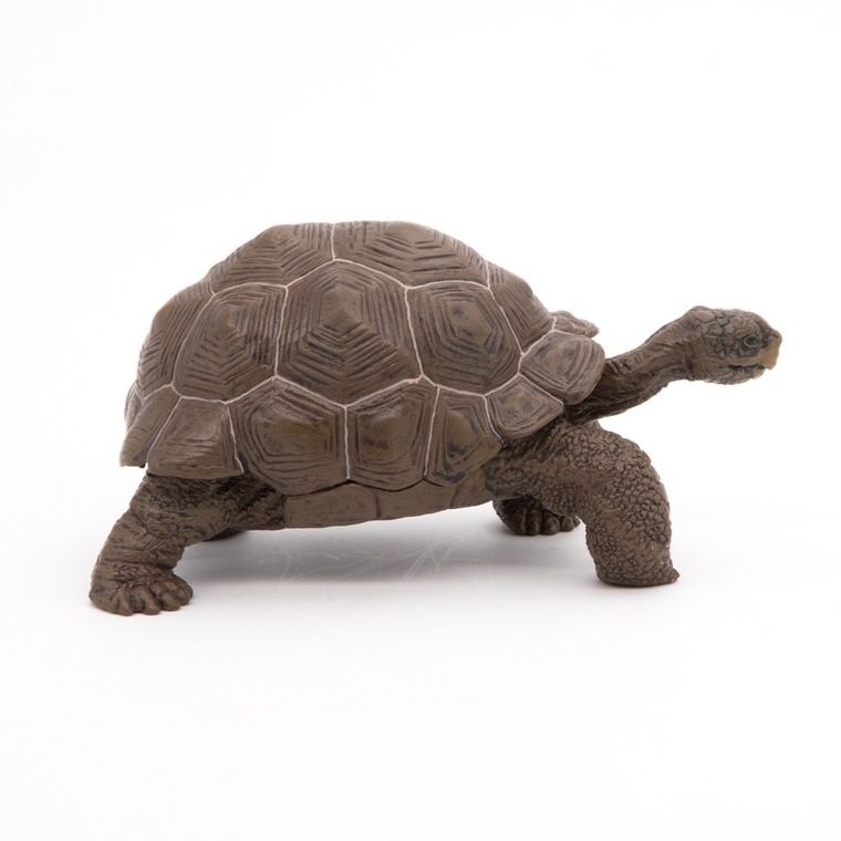 Papo, Żółw słoniowy, figurka kolekcjonerska