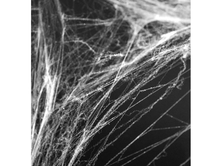 PartyDeco, pajęczyna Halloween, biały, 60 g