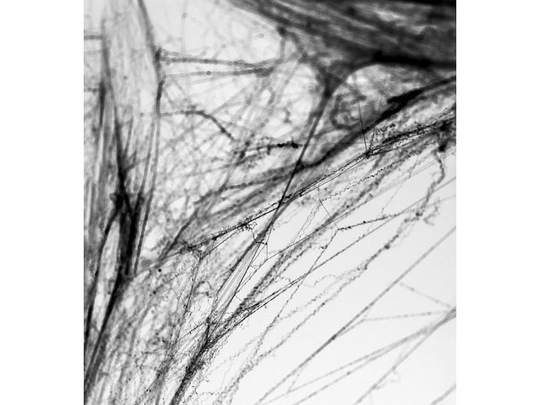 PartyDeco, pajęczyna Halloween, czarny, 60 g