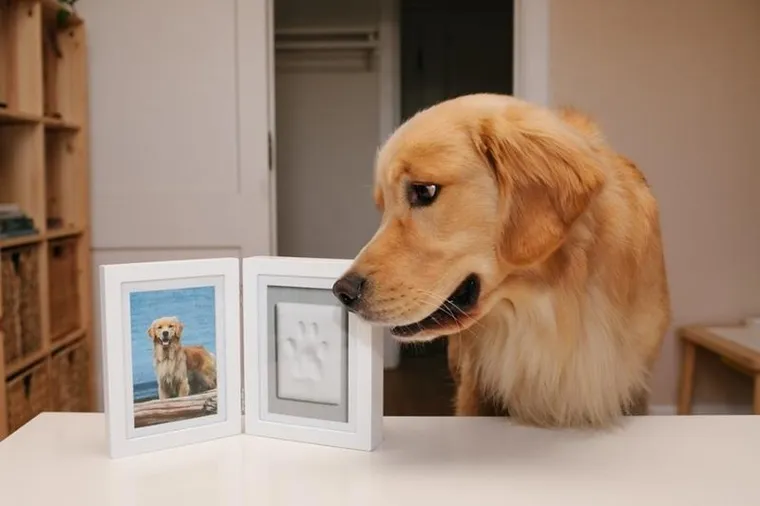 Pearhead, ramka z odciskiem łapy pupila, stojąca