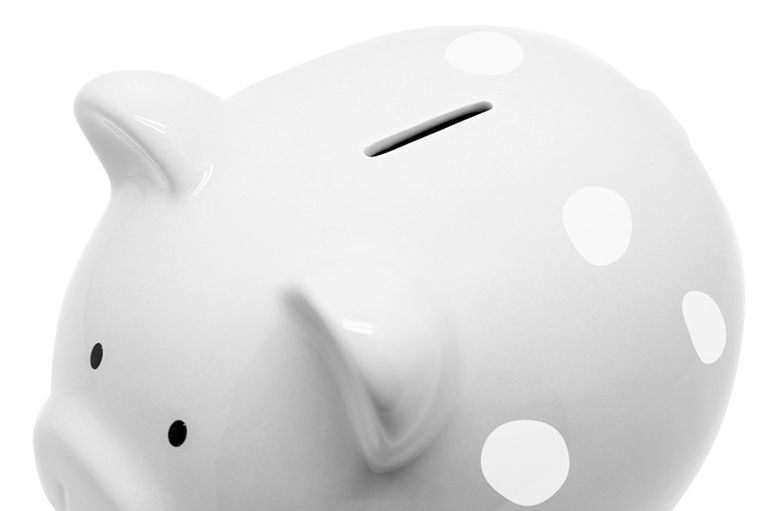 Pearhead, skarbonka, świnka, szara