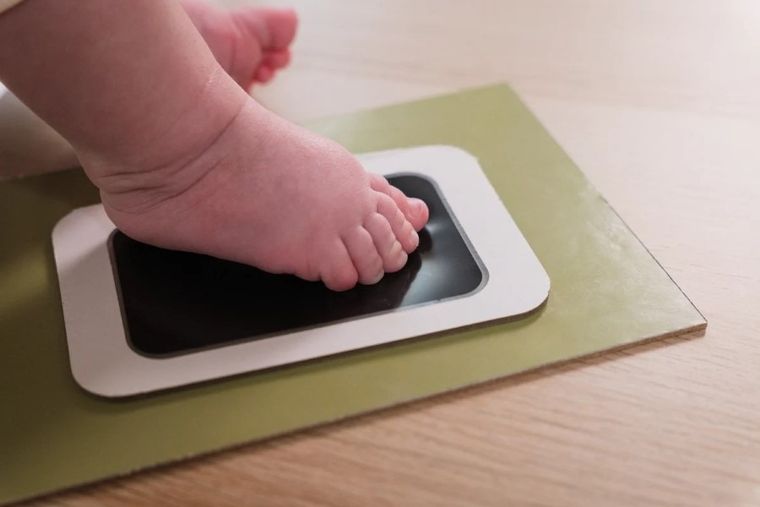 Petit Artichaut, Mój pierwszy rok, ramka