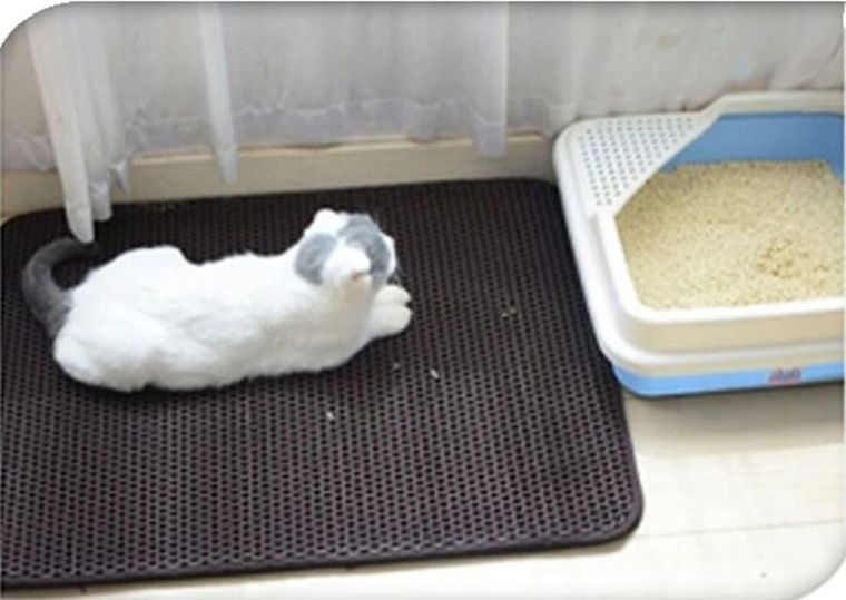 Pets Collection, rękawica do czesania psa kota, z jednym palcem