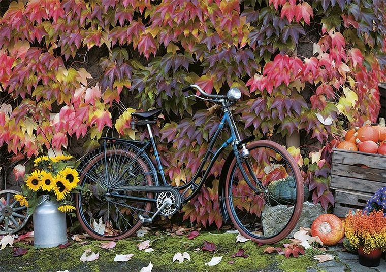 Piatnik, Jesienne Impresje, puzzle, 1000 elementów