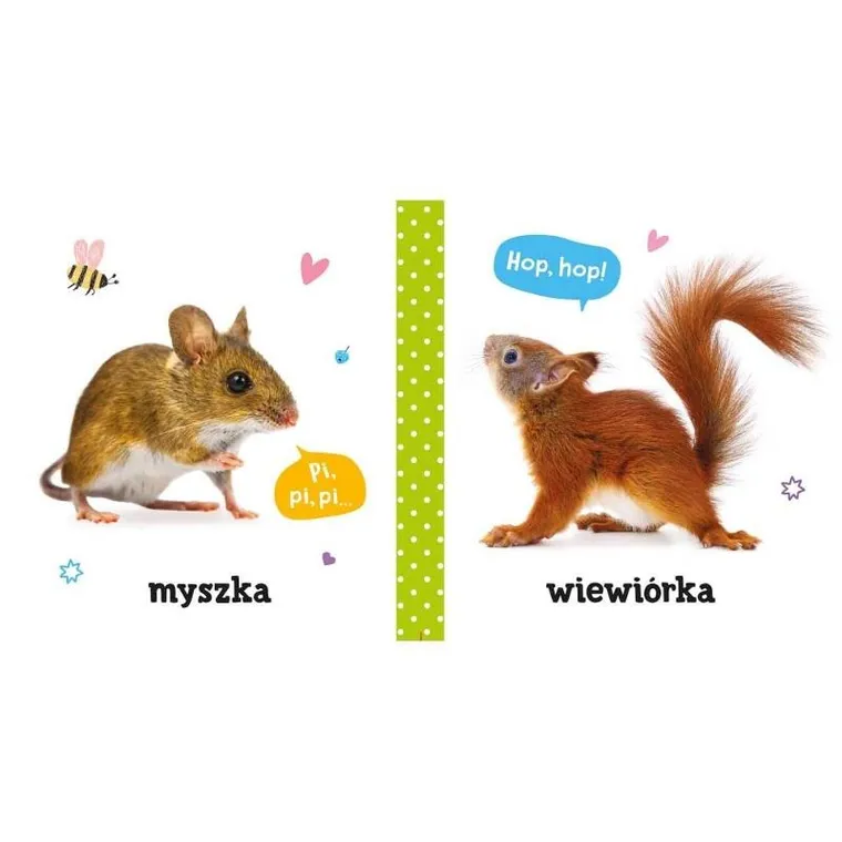 Pierwsze słowa i dźwięki. Zwierzęta