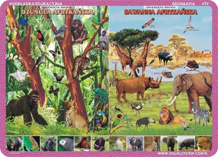 Podkładka na biurko, mata, dwustronna, Afryka, zwierzęta Sahary, sawanny afrykańskiej, dżungli afrykańskiej