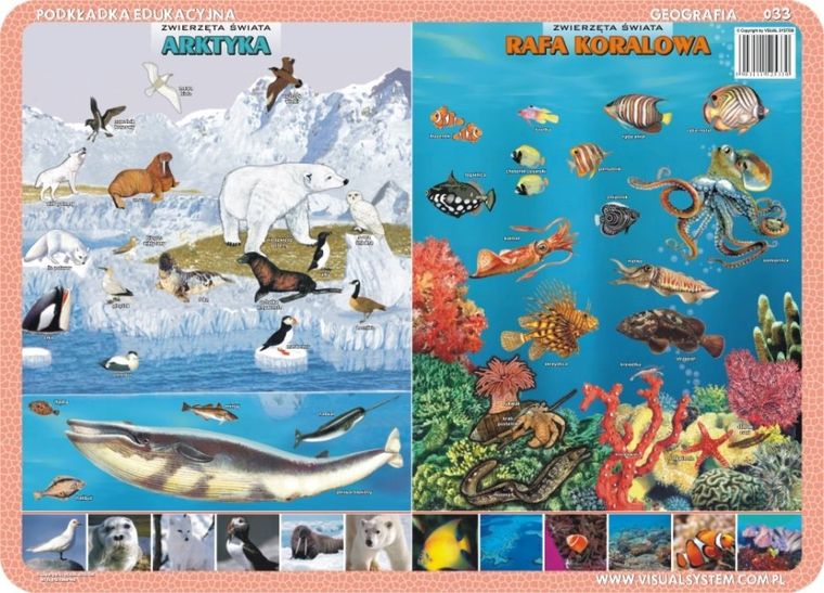 Podkładka na biurko, mata, dwustronna, Zwierzęta Amazonii, Australii, Arktyki, raf koralowych