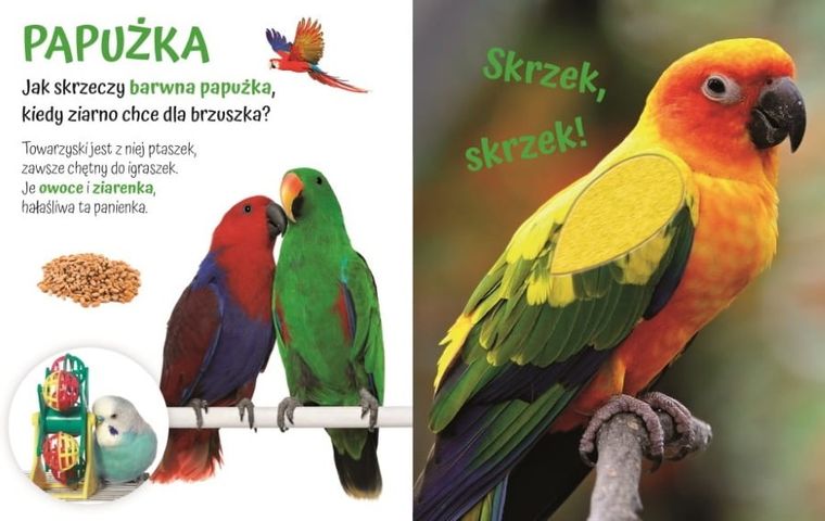 Pogłaszcz domowe zwierzątko