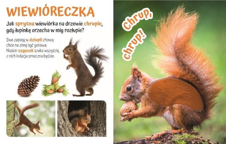 Pogłaszcz dzikie zwierzątko