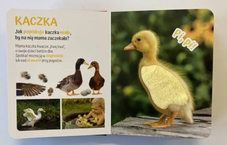 Pogłaszcz wiejskie zwierzątko