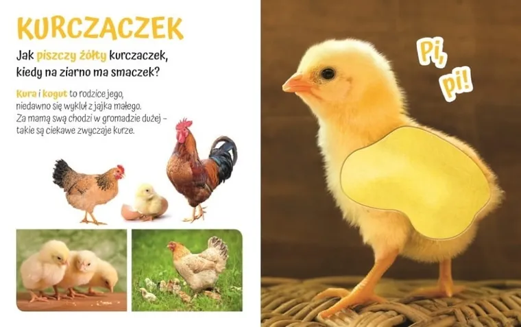 Pogłaszcz zwierzątko. Przytulki