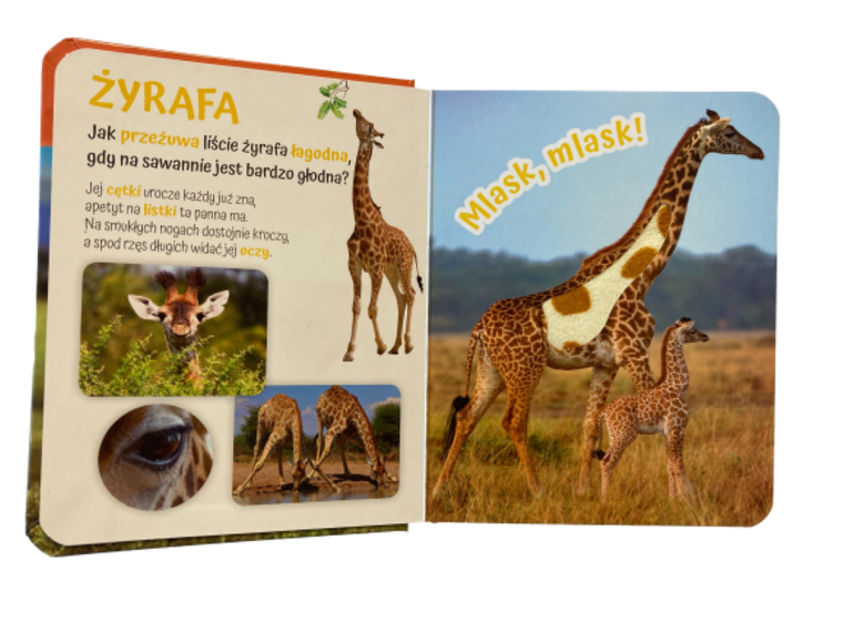 Pogłaszcz zwierzęta świata