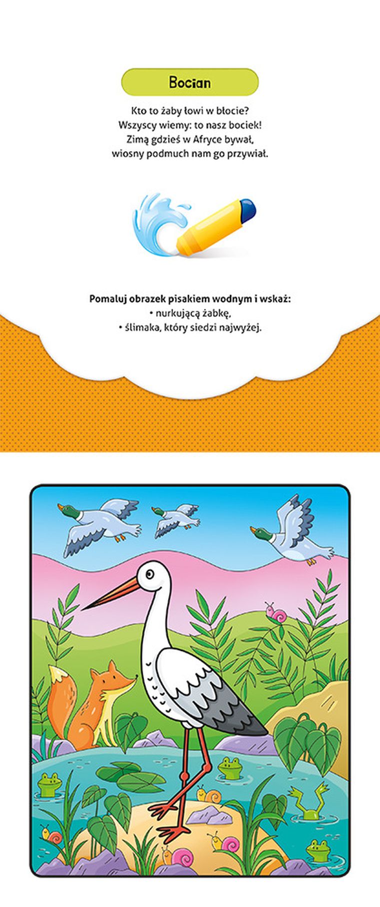 Pokoloruj i znajdź. Na łące. Malowanka z pisakiem wodnym