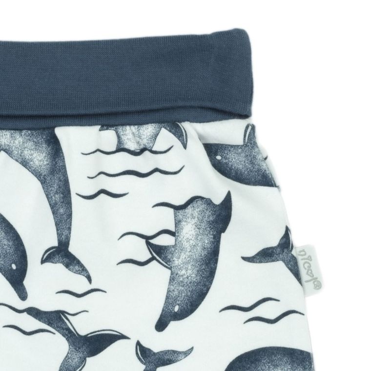 Półśpiochy chłopięce, mix, Nicol