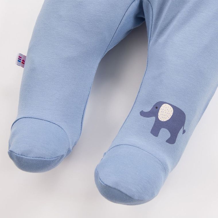 Półśpiochy chłopięce, niebieskie, Eevi