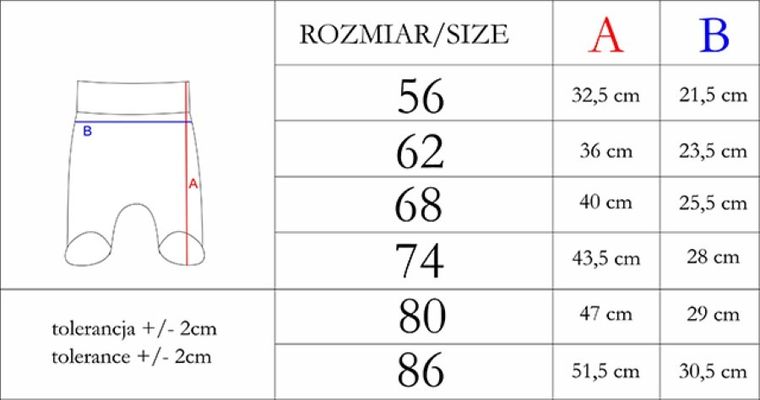 Półśpiochy chłopięce, prążkowane, niebieskie, Nicol